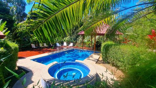 Cabinas Costa Tropicana - Housity