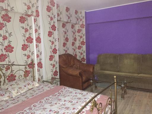 Ultracentral apartament Bacau - Housity