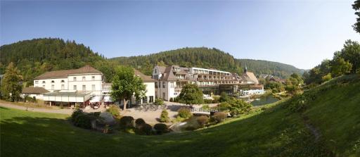 Hotel Therme Bad Teinach - Housity
