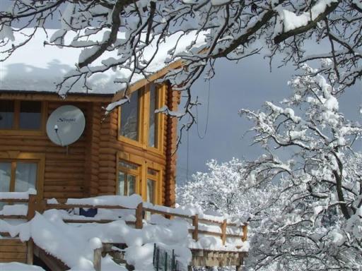 The Green Pine Chalet - Housity