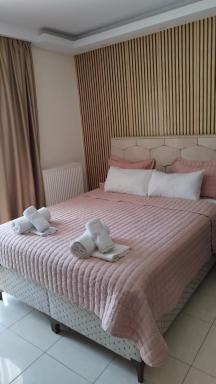Hotel Louiza - Housity