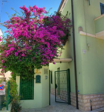 La Casa Del Nonno - Housity