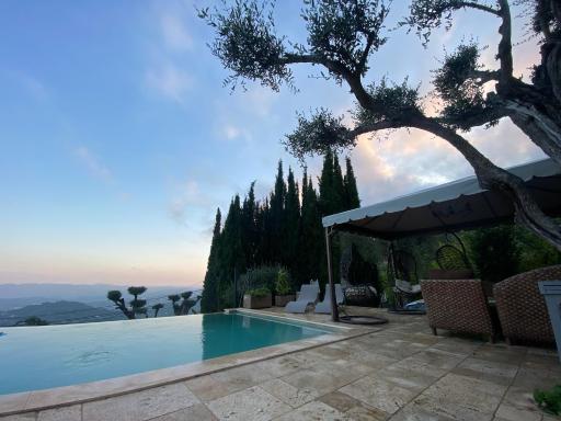 Dieu L'Amour - Galimard - Housity