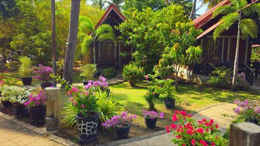 Cocolagoon eco Resort Nilaveli - Housity