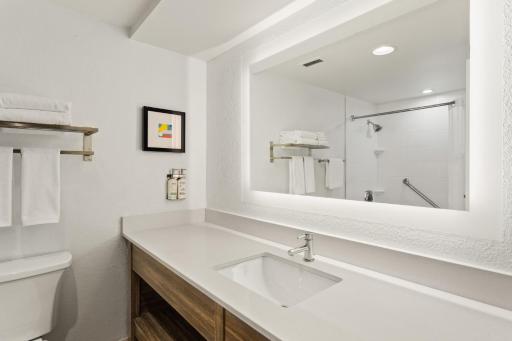 Holiday Inn Tampa Westshore - Airport Area, an IHG Hotel - Housity