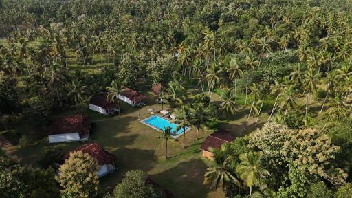 Ambarella Lodge - Katunayake - Housity