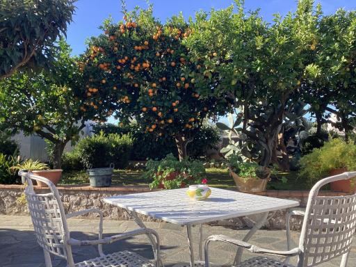 Casetta Minghitto Relaxing rooms in Capri - Hizvo