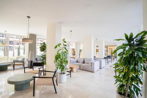 Coral Ocean View - Adults Only - Housity