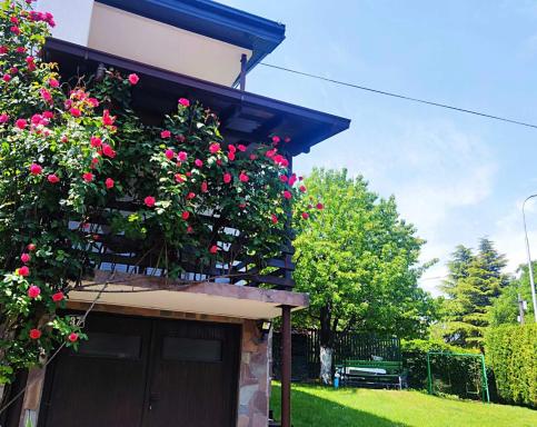 ZNK Family House - Housity