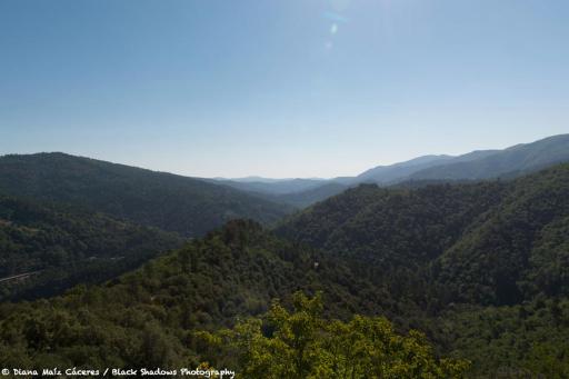 La vallée de Gaïa - Housity