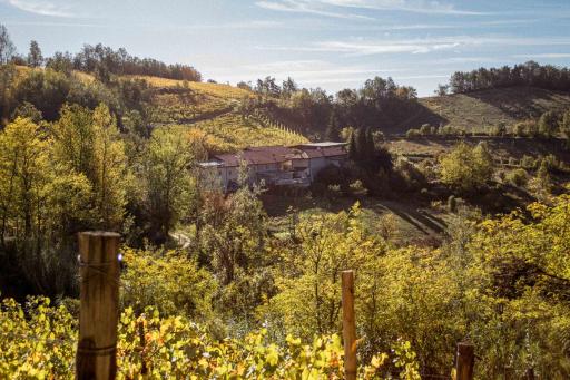 Borgo Isolabella - Wine & Vermouth Relais - Housity