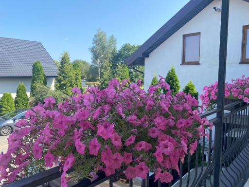 Noclegi AirportPark - Housity