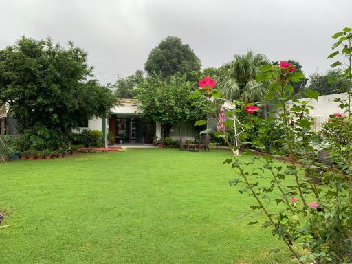 Green Serene Abode - Housity