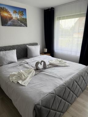 Hotel Rademacher - Housity