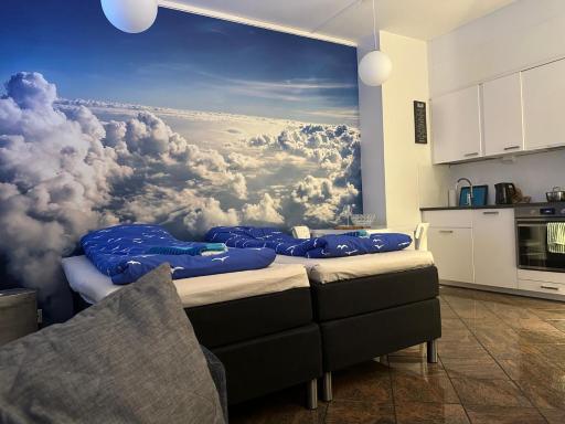 Maisa's studio huoneisto Huoltotie - Housity