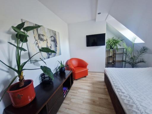 Efekt 19 - Housity