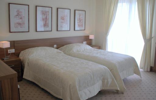 Hotel Termy Pałacowe - Housity