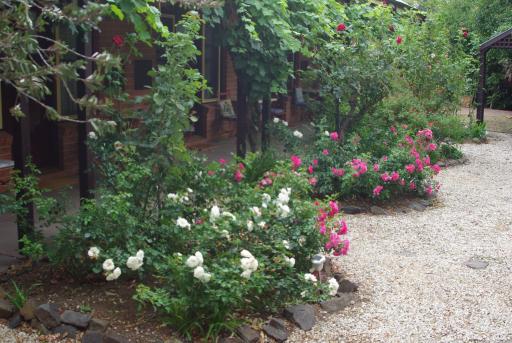 Motel Maldon - Housity