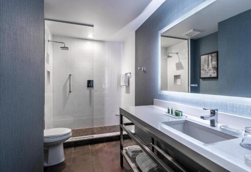 Cambria Hotel Chicago Loop - Theatre District - Housity