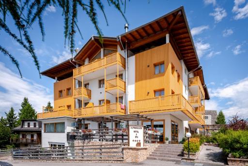 Hotel Alpine Mugon - Housity