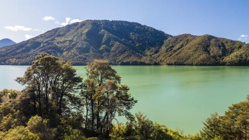 Travel Proud Tepuia Cottage - Havelock Holiday Home - Housity