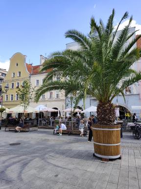 Apartament Gliwice Centrum - Housity