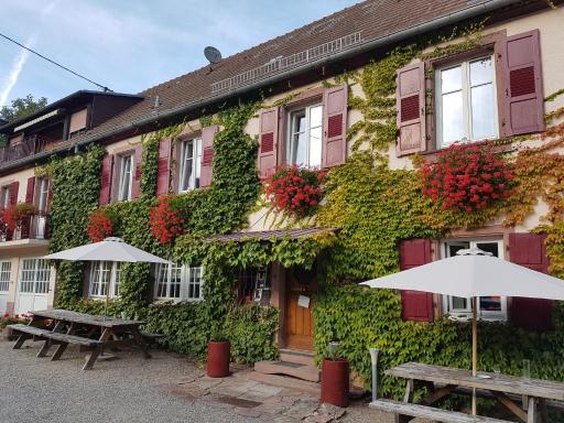 Hôtel du Haut Koenigsbourg- entre vignes et château - Housity