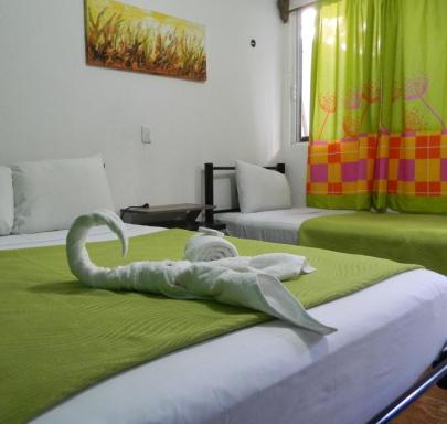 Emotion Avenida Tulum Hotel & Hostal - Housity