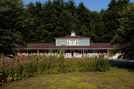 The Little Lion - Housity