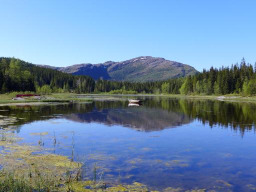 Velfjord Camping & Hytter - Housity