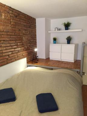 Le petit Moulin, duplex hypercentre Toulouse - Housity