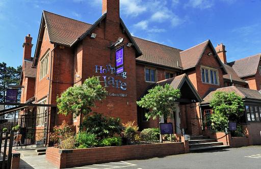 Hopping Hare - Housity