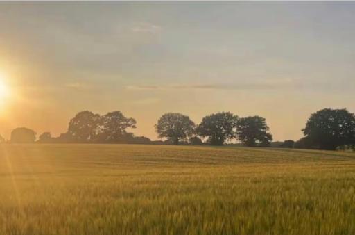 Tranquil detached barns in Sherborne St John - Housity