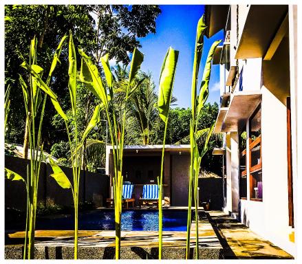 Lazy Inn Kuta Lombok - Housity