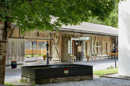 Gasthof Salzstadl - Housity