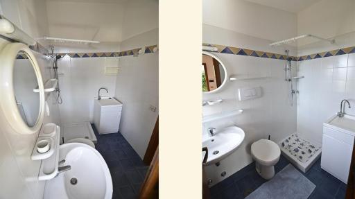 Cottage Primula - Housity