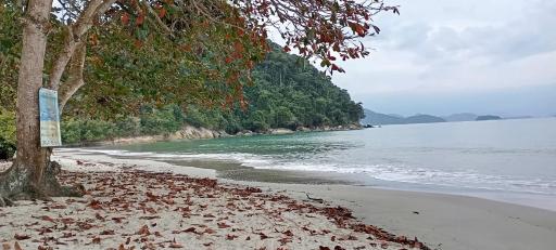 Casa amarela da Prainha de Mambucaba (10 pessoas) - Housity