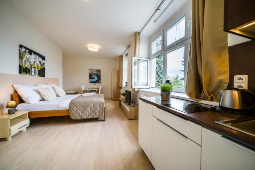 Design apartments Brno-center - Housity