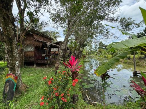 Easylife Bungalow - Housity