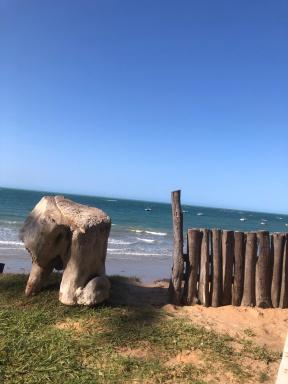 Casa da Peroba Sol - Housity