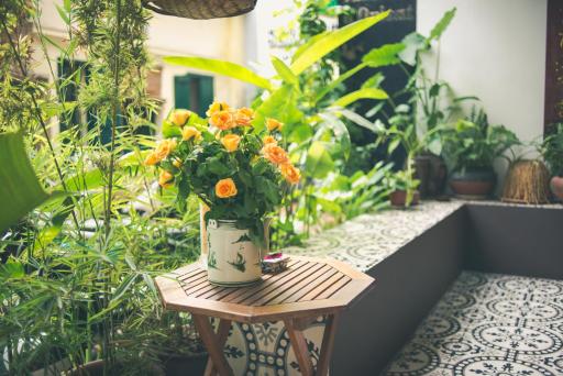 Maison d'Orient Hotel - Housity