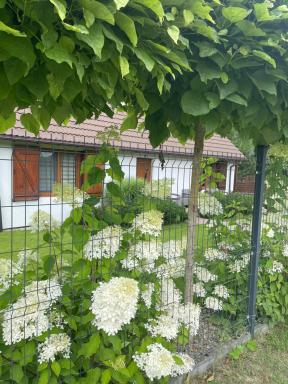 Apartamenty Buczyna w Sierakowie - Housity