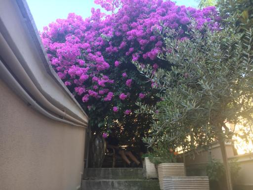 B&B La Bougainvillea - Housity
