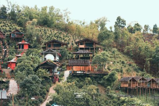 เห็ดเหลือง Hedreung banrakthai homestay and camping - Housity