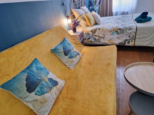 BNB LE CHIC Hyper Centre Orléans 5' Train Station PARKING - Housity