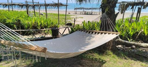 Hotel Cocoloco - Housity