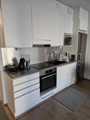 Modern 1 bedroom apartment in Central Kuopio - Housity