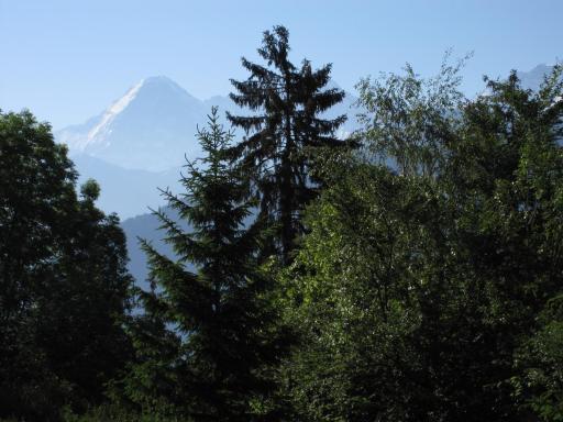 Blüemlisalp 712 Studio - Housity