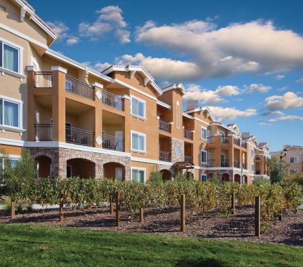 Vino Bello Resort - Housity