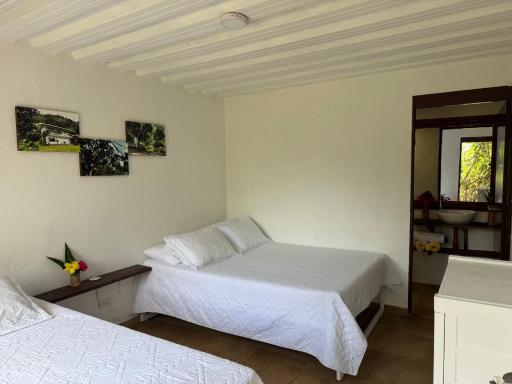 OASSIS CONEXION SIN FRONTERAS - Housity